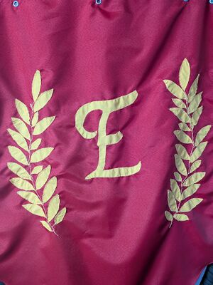 Extraordinarii.jpg