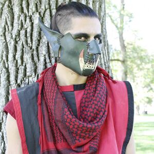 Tfprofilepic.jpg